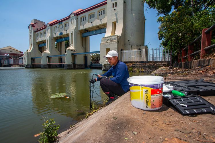 Ecoton Imbau Warga Tak Konsumsi Ikan Mati di Kali Jagir, Kadar Fosfat Tinggi