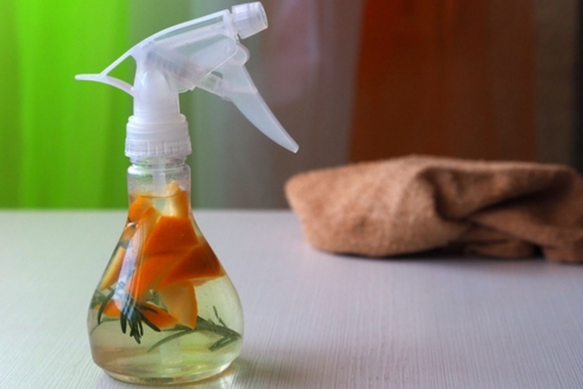 Ilustrasi pestisida nabati dari kulit jeruk