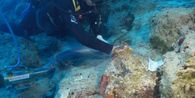4.700 Tahun di Dasar Laut, Bangkai Kapal Tertua Bikin Arkeolog Hampir Pingsan 