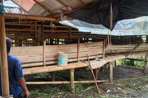 9 Kambing di Bogor Hilang, Hanya Tersisa Isi Perut Berserakan di Dalam Kandang
