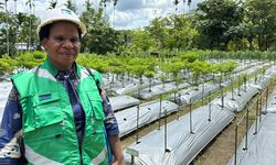 Merajut Masa Depan Masyarakat di Kawasan Tambang Freeport