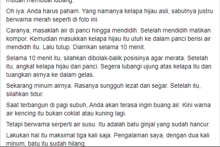 Beredar pesan di WhatsApp dan Facebook yang mengatakan bahwa batu ginjal dapat disembuhkan dengan air kelapa muda.