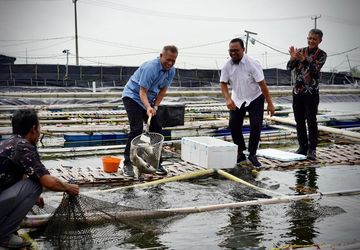 Koperasi Panen Perdana Ikan Kakap Putih dan Kerapu di Muaragembong, Ini Respon Kemenkop