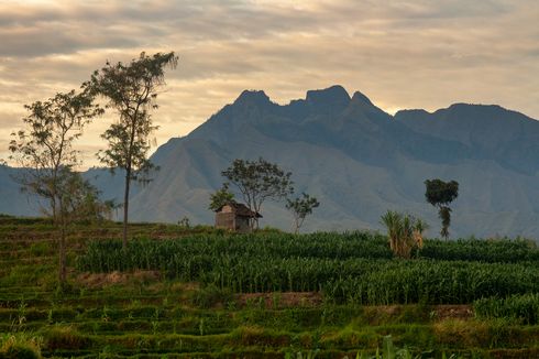 Pendakian Bukit Semar di Mojokerto Dibuka, Harga Tiket Rp 5.000