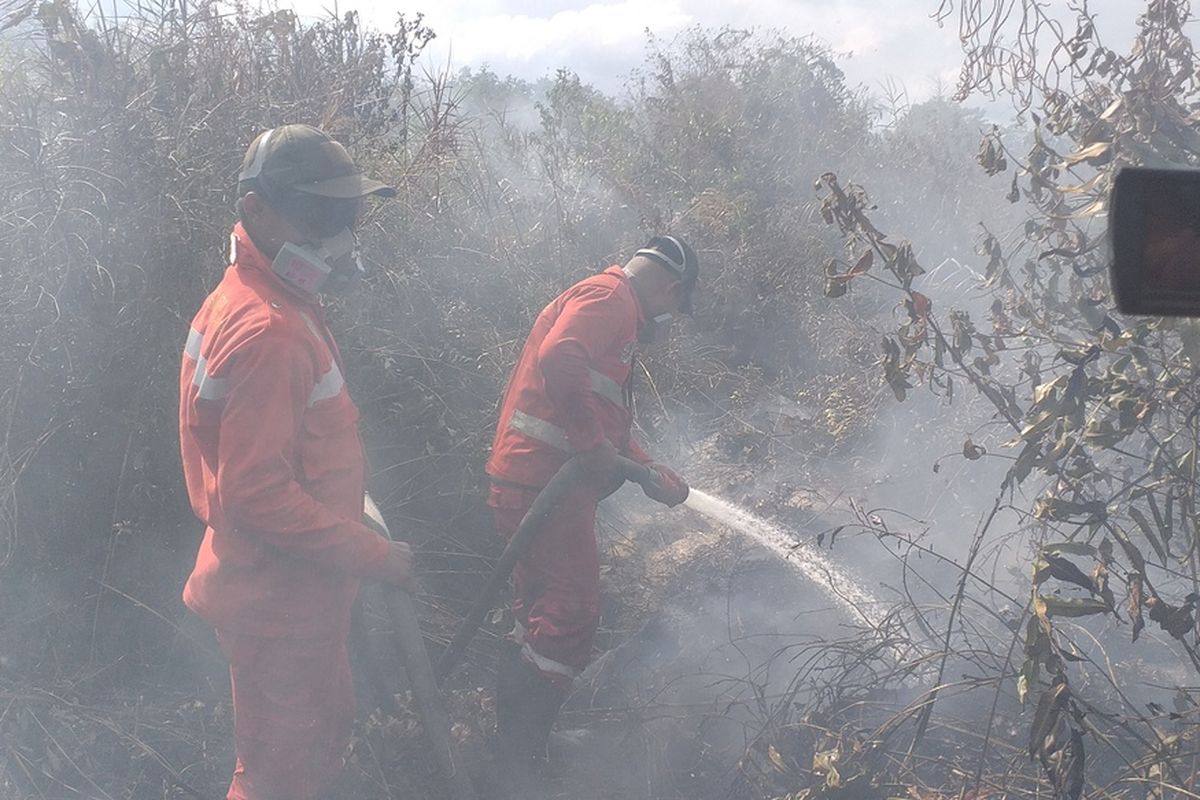 Kebakaran hutan dan lahan yang terjadi di Riau beberapa waktu lalu.