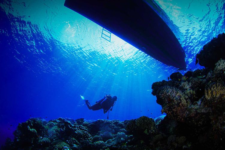 Penyelam di Laut Merah, Kota Jeddah, Arab Saudi.