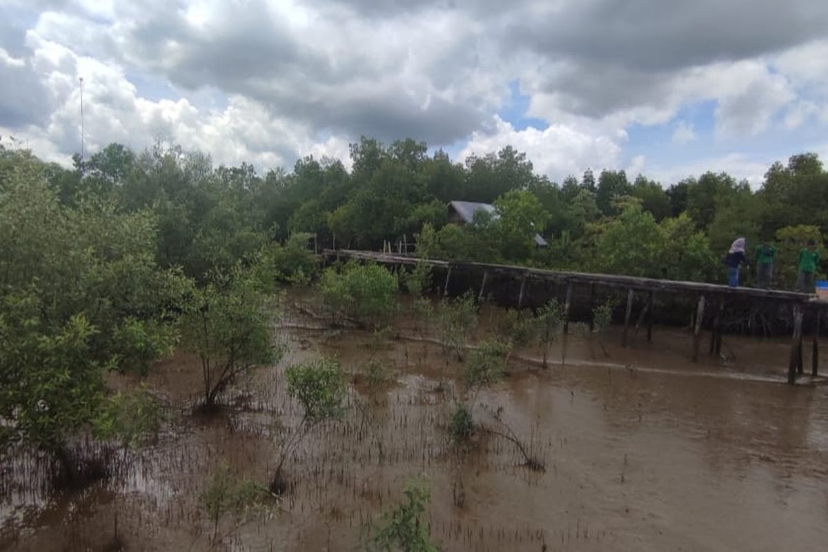 Program PT Kilang Pertamina  Internasional (KPI) Refinery Unit (RU) II Sei Pakning menanam mangrove yang semula untuk mengatasi abrasi justru menjadi tempat Eco Wisata di Desa Pangkalan Jambi, Kecamatan Siak Kecil, Kabupaten Bengkalis, Provinsi Riau. Upaya ini akhirnya mendongkrak ekonomi masyarakat sekitar.