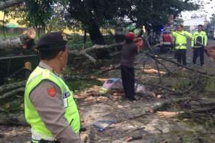 Sejumlah petugas dari Polres Batu dan Badan Penanggulangan Bencana Daerah (BPBD) Kota Batu saat mengevakuasi pohon tumbang di Jalan Ir Soekarno Kota Batu, Minggu (4/12/2016)