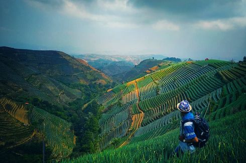 Bukit Mercury Sayang Kaak Majalengka, Spot Instagramable Berlatar Kebun Bawang