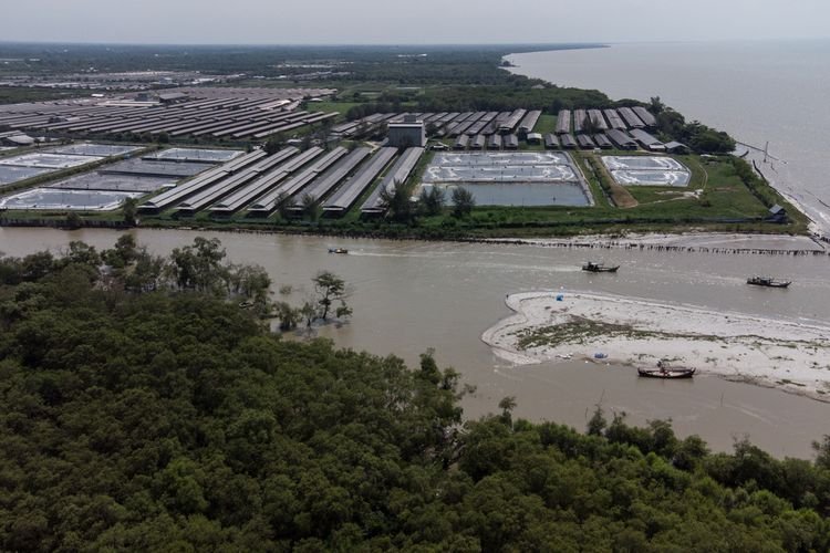 Lanskap pesisi Pantai Labu, Deli Serdang, Sumatera uatar yang banyak berubah dari hutan mangrove menjadi peternakan dan tambak udang. Hutan mangrove hampir hilang dari pesisir pantai di wilayah ini kerena pembukaan tambak udang yang massive di awal tahun 1980-an. Kini lahan banyak berganti fungsi menjadi peternaan ayam dan pemukiman. Menurut keterangan warga, daratanpun kian berkurang karena naiknya permukaan air. Binsar Bakkara