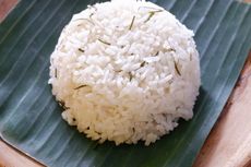 Resep Nasi Daun Jeruk Gurih dan Harum untuk Sarapan