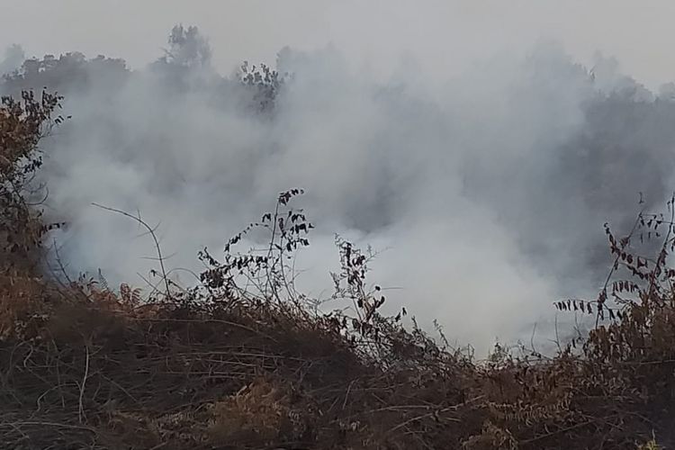 Kebakaran hutan dan lahan (karhutla) yang mengakibatkan wilayah Kabupaten Kepulauan Meranti, Riau, dilanda kabut asap, Rabu (6/3/2019).