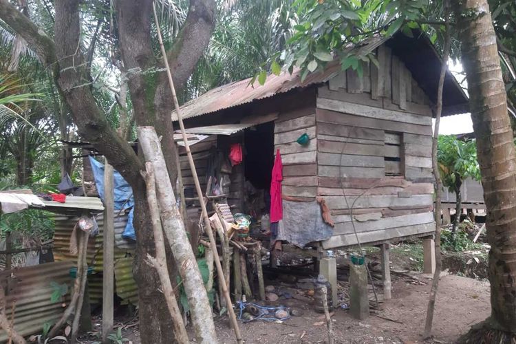 Inilah rumah tak layak huni yang ditempati oleh Yumiati (53) bersama lima orang anaknya di Desa Pulau Gelang, Kecamatan Kuala Cenaku, Kabupaten Indragiri Hulu, Riau, Sabtu (12/3/2022).