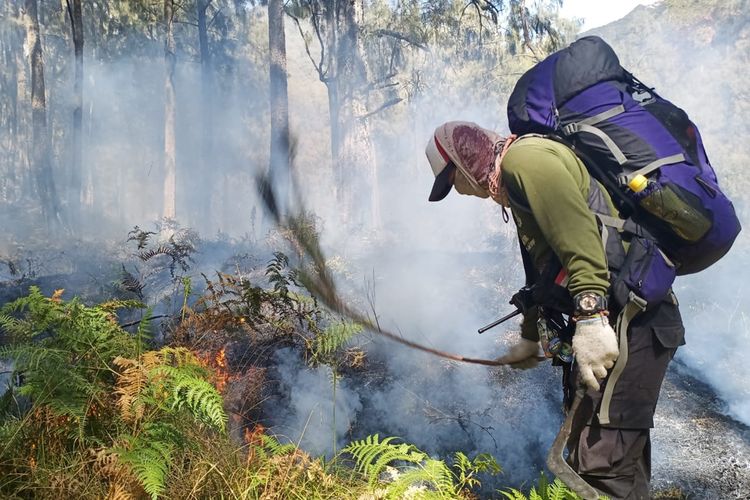 Petugas berusaha memadamkan api di Hutan Gunung Arjuno, Jawa Timur yang terbakar sejak Sabtu (28/9/2019).