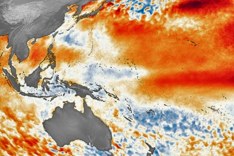 Ilustrasi perbedaan suhu permukaan laut di seluruh dunia selama fenomena El Nino yang terjadi pada 2015.