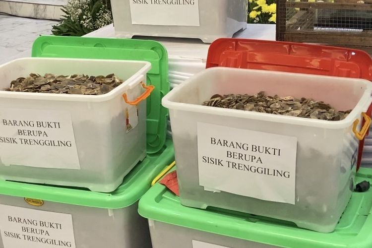 Polda Jatim Amankan 11 Tersangka Sindikat Perdagangan Satwa Endemik ke Pasar Gelap Internasional