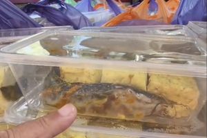 Lele Mentah Amis Menyengat, 1.022 Porsi MBG Ditolak di SMA 2 Pamekasan