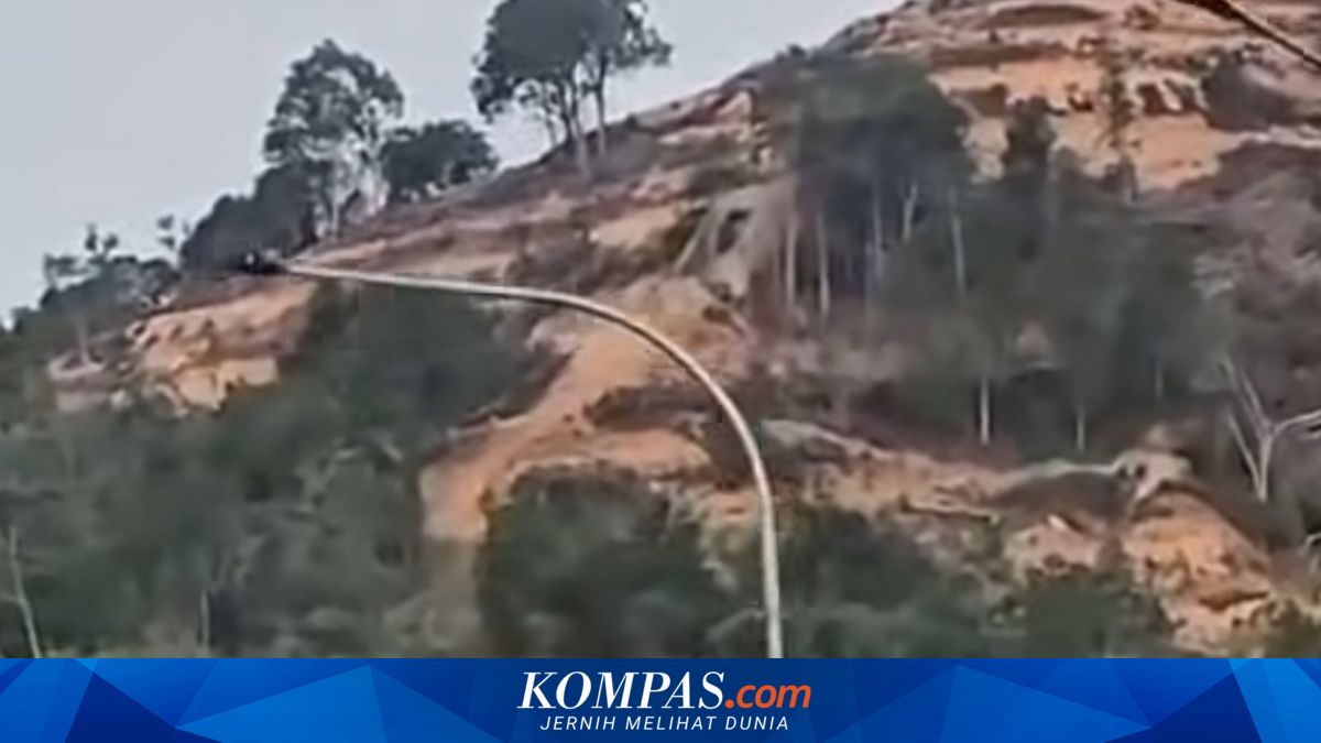 Viral Bukit Gundul di Jalur Sumbar-Riau, Dishut: Pembukaan Lahan Sawit, di Luar Kawasan Hutan