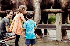 Kunjungan Wisatawan ke Bali Zoo Meningkat Tajam