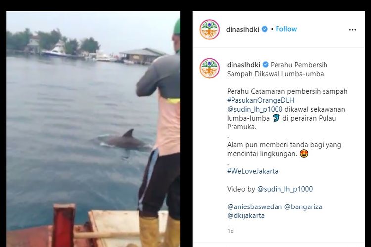 Tangkapan layar, sebuah video yang merekam kehadiran sekelompok lumba-lumba di Pulau Pramuka diunggah Dinas Lingkungan Hidup Kepulauan Seribu di Instagram, Minggu (11/10/2020).