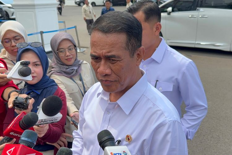 Harga Ayam Hidup Anjlok, Mentan Akan Cek dan Panggil Produsen Pakan