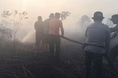 3 Daerah di Riau Berstatus Siaga Darurat Kebakaran Hutan dan Lahan