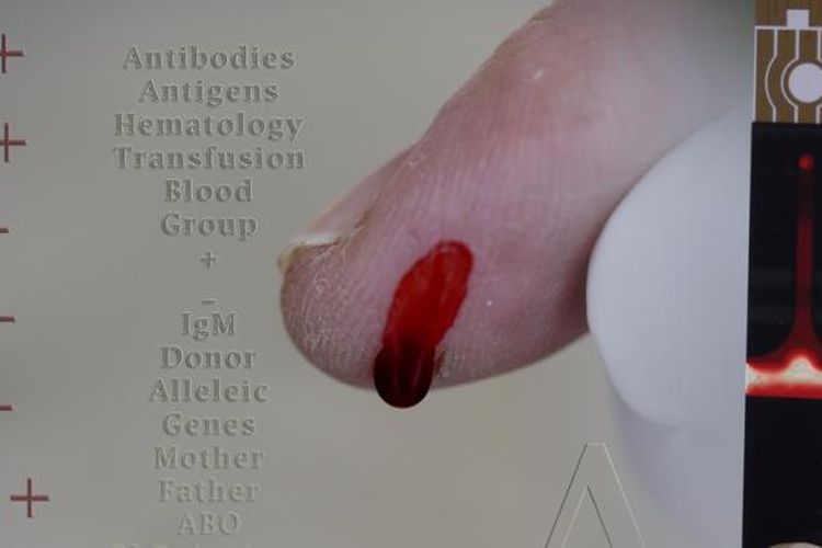Ilustrasi golongan darah