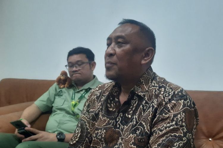 Karhutla Ancam Keberlangsungan Habitat Orangutan, Konservasi Ex-situ Jadi Cara Selamatkan dari Kepunahan