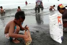 Berburu Ikan di Pantai, Warga Gunakan Tempat Nasi hingga Pakaian Menempel di Badan
