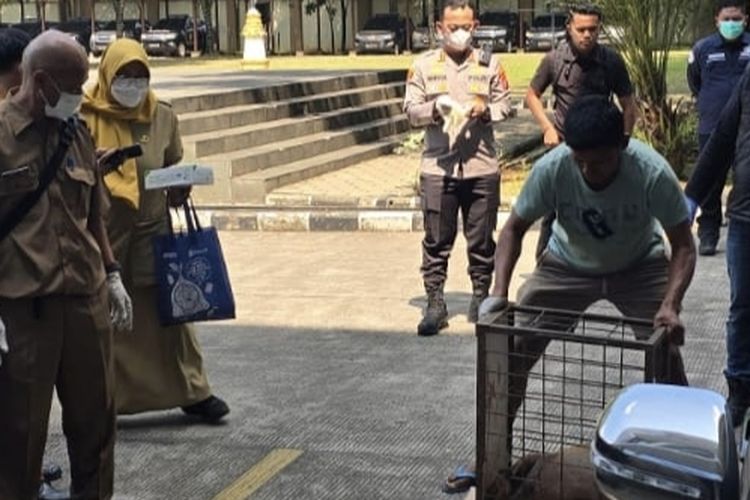Bocah 9 Tahun Tewas Digigit Anjing di Jasinga Bogor, 57 Saksi Diperiksa, 109 Anjing Pemburu Diamankan