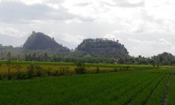 Kementan Jaga Pertumbuhan Ekonomi Triwulan III 2018