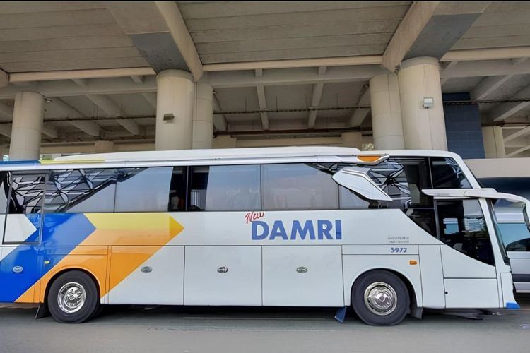 Ilustrasi DAMRI.