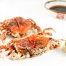 Apakah Benar Cangkang Kepiting Tidak Bisa Dimakan?