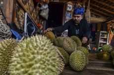 Puncak Arus Mudik Nataru di Stasiun Tawang dan Poncol Semarang Diprediksi 21 dan 28 Desember 2025