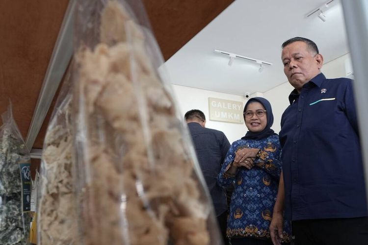 Wamen UMKM Sebut Produk Lokal Sulit Bersaing Selama Regulasi Impor Tak Dibenahi