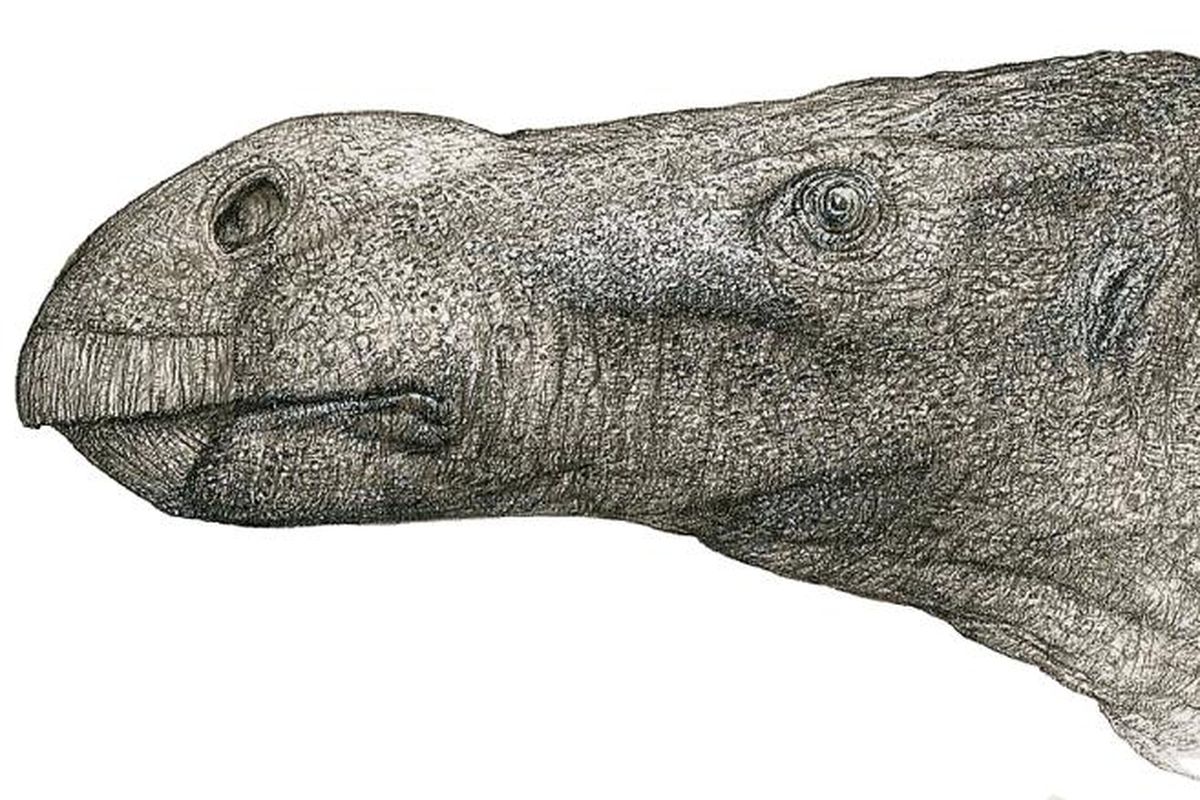 Spesies dinosaurus baru bernama Brighstoneus simmondsi yang ditemukan di Inggris.