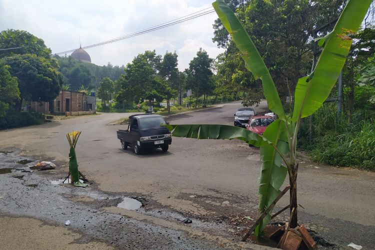 Sejumlah pohon pisang berdiri di tengah badan Jalan Kiara Payung, Desa Mekarsari, Kecamatan Ngamprah, Kabupaten Bandung Barat (KBB) Jawa Barat, Jumat (19/4/2024).