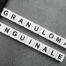 Granuloma Inguinale (Donovanosis)