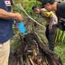 5 Fakta Penemuan Kerangka Manusia di Pohon Aren Sergai, Diduga Pemuda Hilang 2 Tahun
