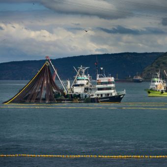 Kapal pukat cincin (purse seine)