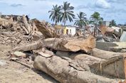 Konsesi Hutan hingga Risiko Kriminalisasi, Ini Catatan KPA Soal Banjir Sumatera