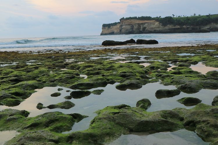 Batu karang yang ditumbuhi lumut tampak cantik di Pantai Klayar, Pacitan, Jawa Timur.