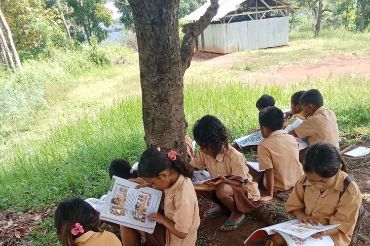 Viral Murid SD di Manggarai Barat Belajar di Bawah Pohon karena Ruang Kelas Kurang