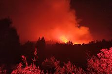 Hutan Terbakar di Kawasan Pegunungan Ijen Capai 10 Hektar