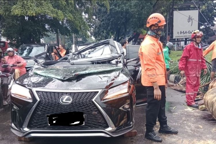 Pramono Kenal Pengemudi Lexus yang Tertimpa Pohon di Pondok Indah, Sampaikan Duka Mendalam