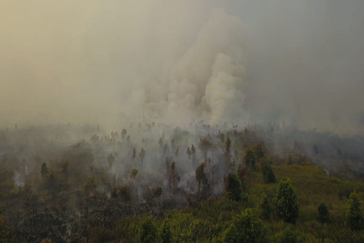 Kejadian kebakaran hutan dan lahan yang menimbulkan kabut asap pekat dan tebal menyelimuti Kota Palangkaraya.