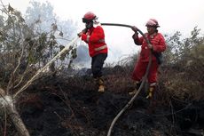 Kebakaran Hutan dan Lahan di Perbatasan Dumai-Bengkalis Riau Diperkirakan Sudah Mencapai 50 Hektar