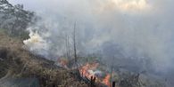 Kebakaran Gunung Bromo Meluas, Api Mulai Mengarah ke Savana
