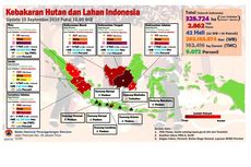 Data Terkini Karhutla di Sumatera dan Kalimantan, Jumlah Titik Api hingga Sebaran Asap