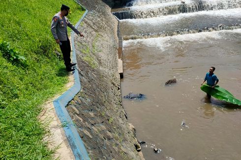 Mayat Kakek Terapung di Sungai Kota Malang, Diduga Terpeleset